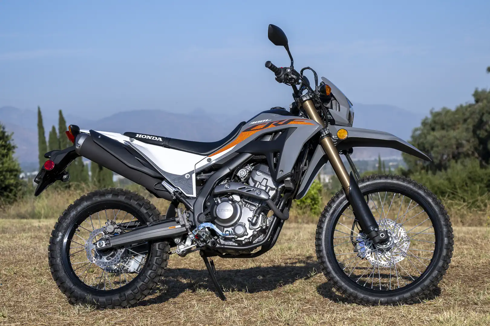 Honda CRF300LS - Image 3