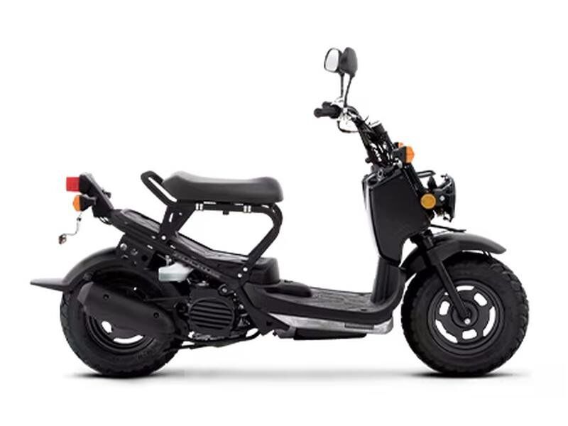 Honda Ruckus for Sale